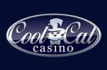 -coolcat-casino.com